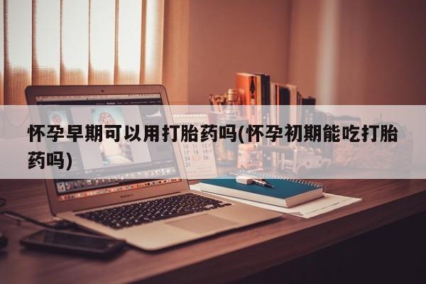 堕胎药微信有谁买微信怀孕早期可以用打胎药吗(怀孕初期能吃打胎药吗)